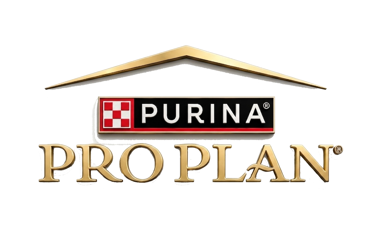 Pro Plan